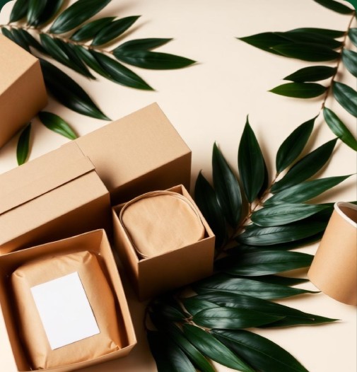 Sustainable food packaging with green leaves